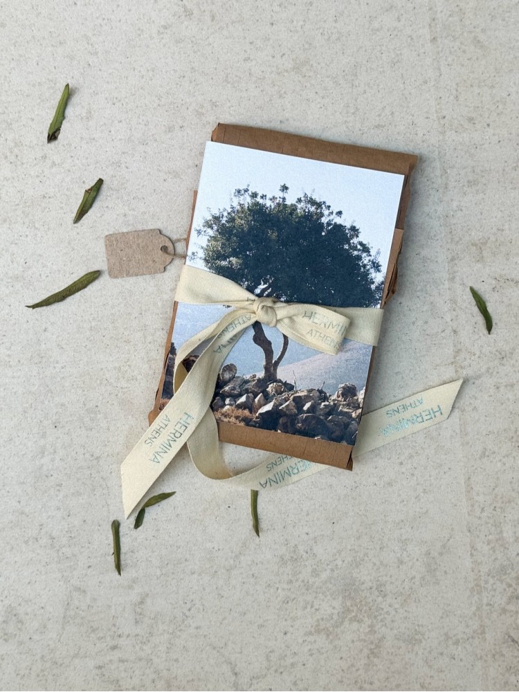 Hermina Phoenix lucky charm 26 red agate βραχιόλι 