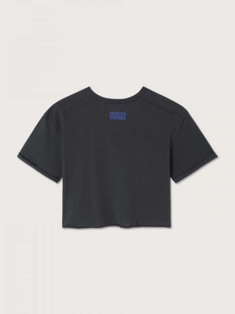 American vintage carbon apoly κοντομάνικο t-shirt